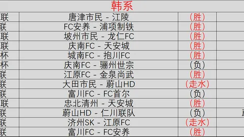 2026欧会杯精彩回顾：西欧队10胜15场，今日焦点赛事不容错过